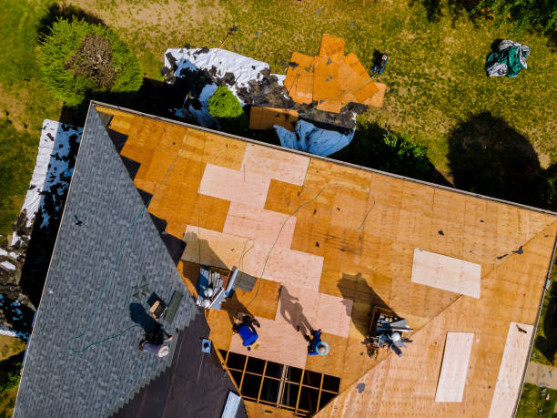 Best Local Roofing Companies  in Woodhaven, MI