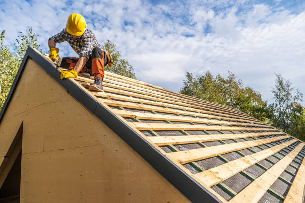 Best Residential Roof Replacement  in Woodhaven, MI
