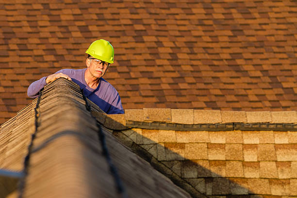 Best Roof Repair Services  in Woodhaven, MI
