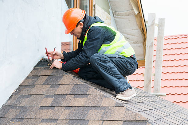 Best Roof Gutter Cleaning  in Woodhaven, MI