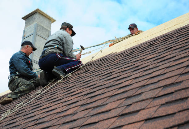 Best New Roof Installation  in Woodhaven, MI
